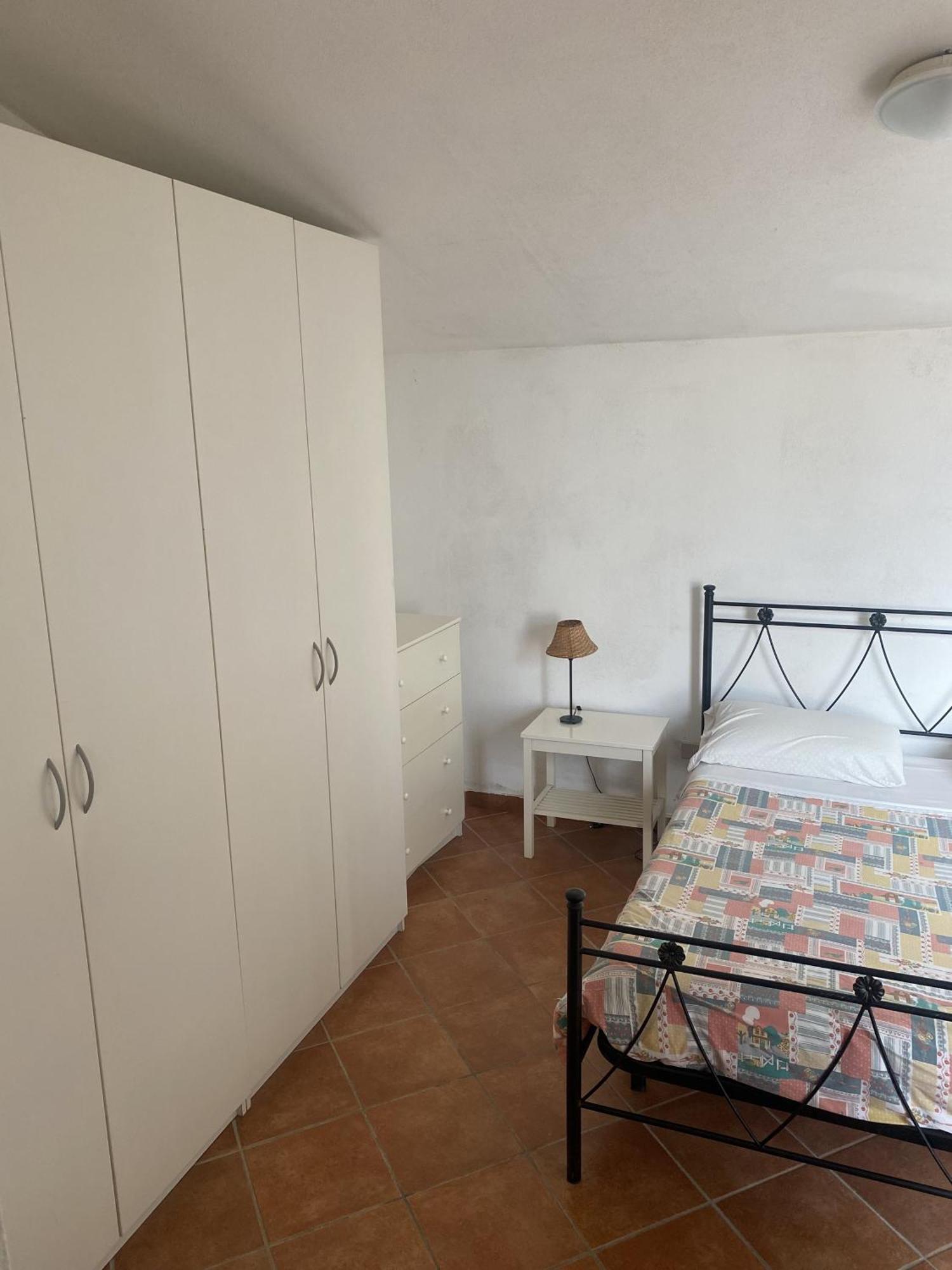 L'ulivo E Il Mare *