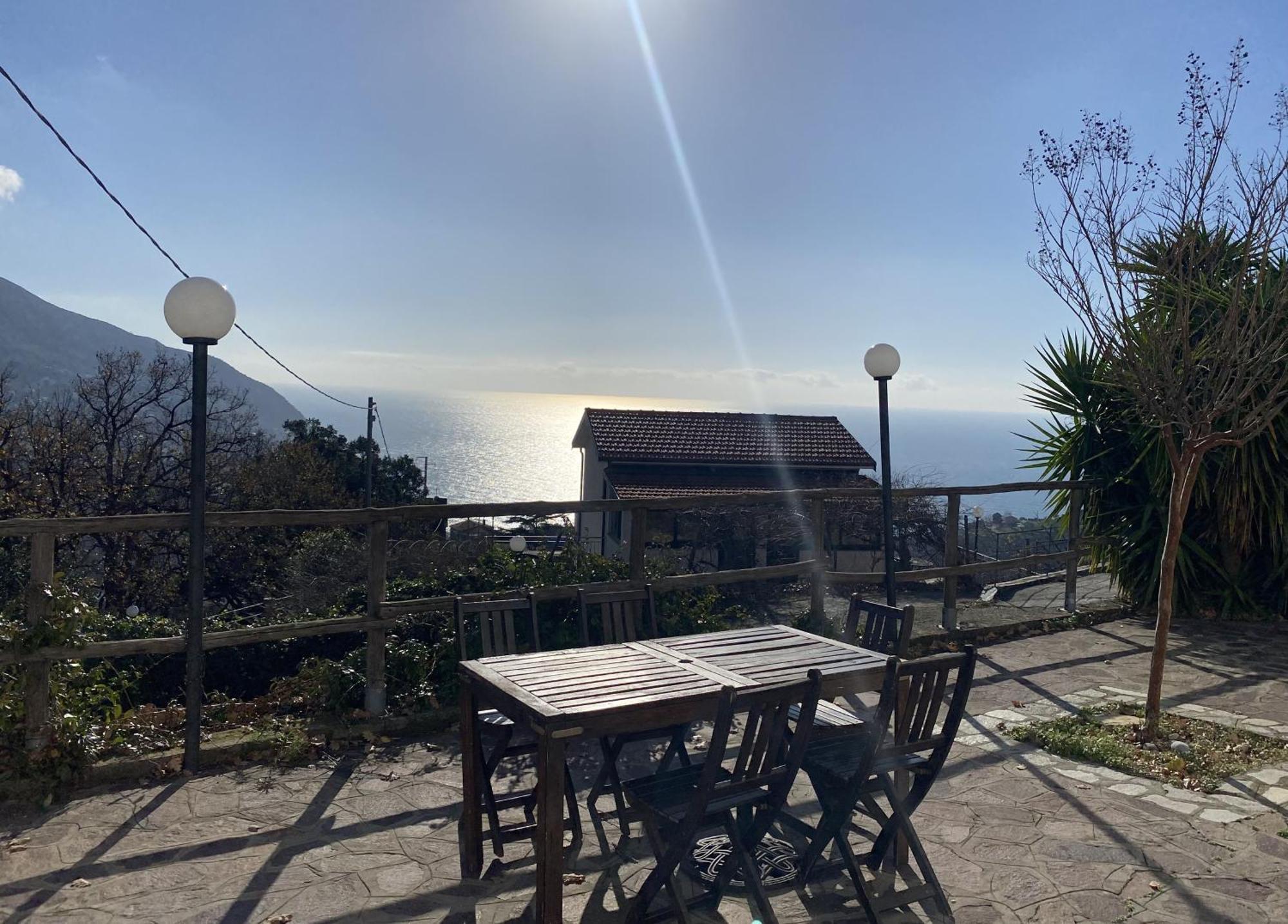 L'ulivo E Il Mare *