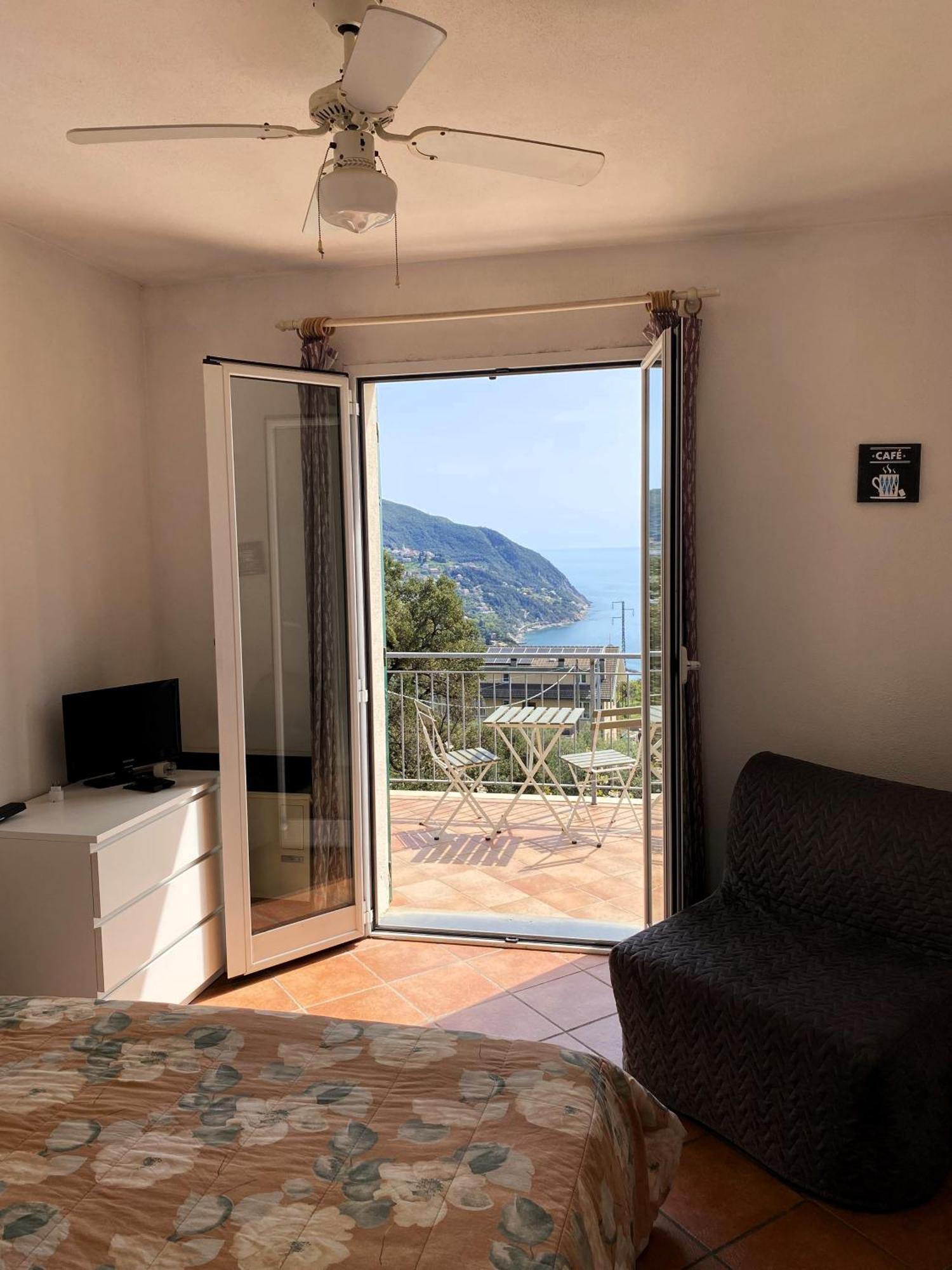L'ulivo E Il Mare *